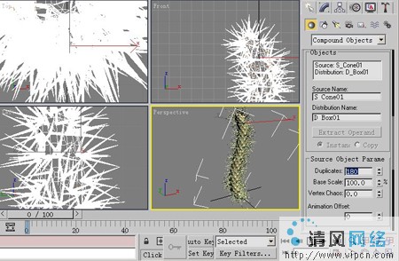 3D Max圖文教程:3ds Max制造逼真仙人刺[多圖]圖片29