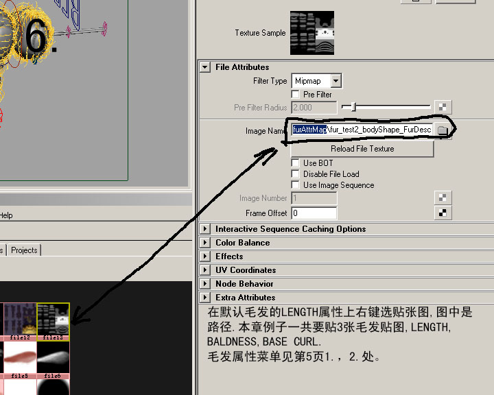 maya教程：MAYA的FUR教材-蜜蜂體毛的制作