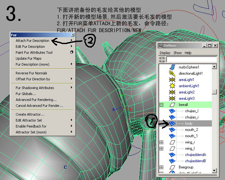 maya教程：MAYA的FUR教材-蜜蜂體毛的制作